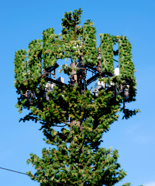artificial cell tower pine tree