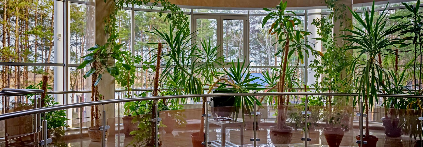artificial trees for offices