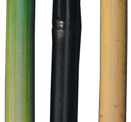 Bamboo Poles ID#BBP109