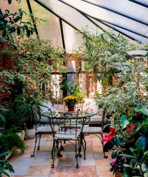 biophilia decor