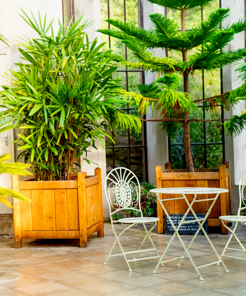 biophilic design office space