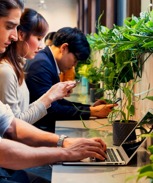 biophilic design office spaces