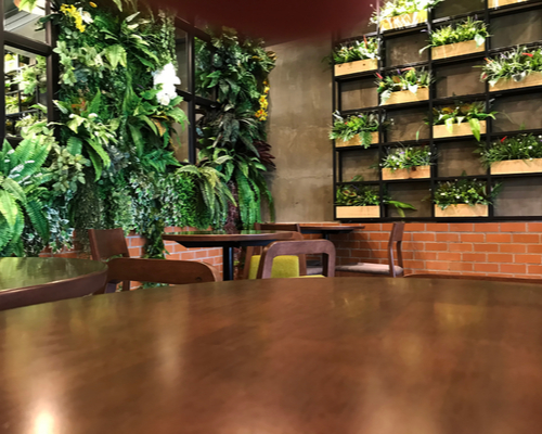 biophilic furniture