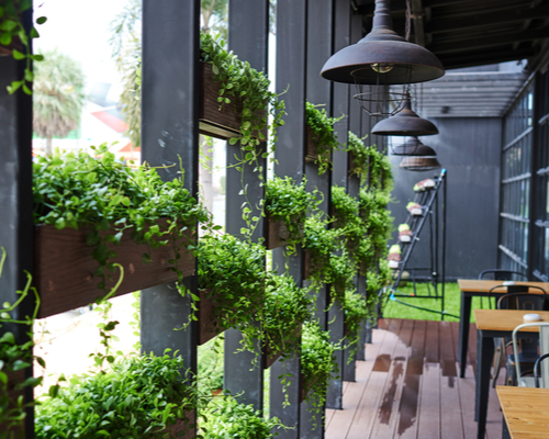 biophilic greenery