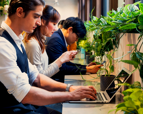 biophilic office spaces