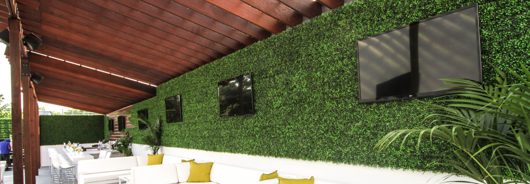 boxwood hedges wall