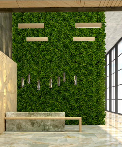 boxwood hedge wall