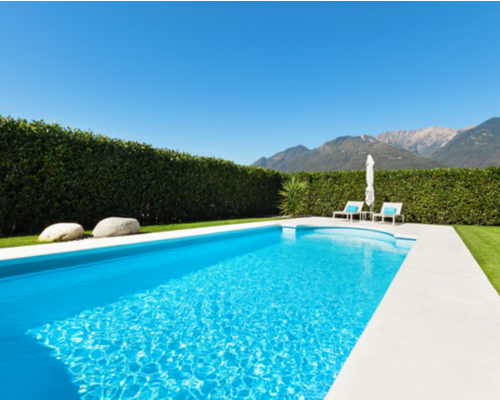 boxwood hedges poolside decor