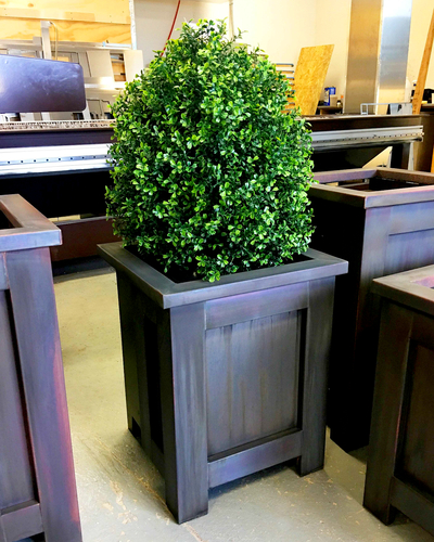 types of boxwood shrubs