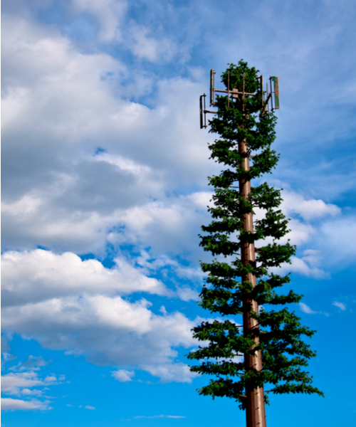 cell tower tree