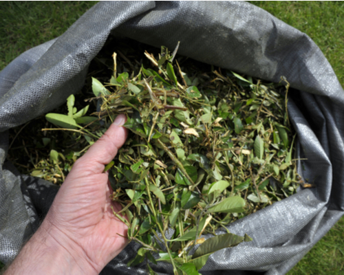 make compost