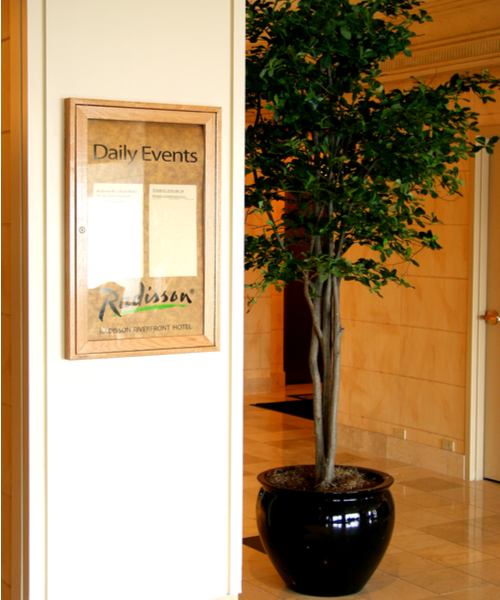 decorative artificial black olive trees