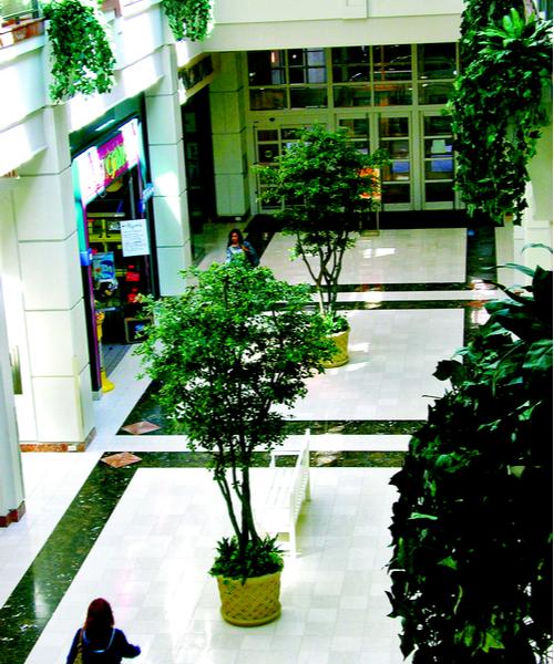 artificial olive trees