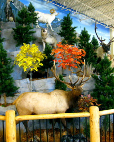 fake pine trees rainforest themefake pine trees rainforest theme