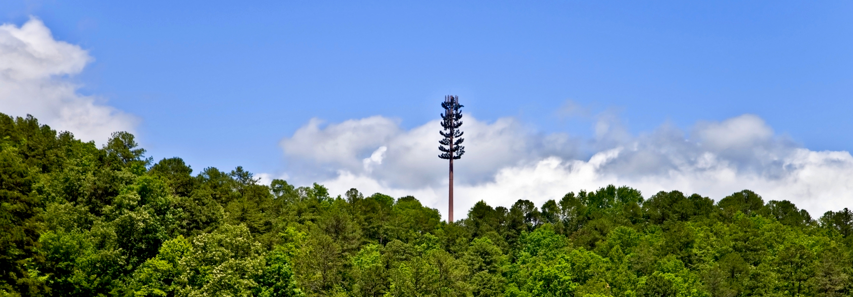 fake tree cell tower