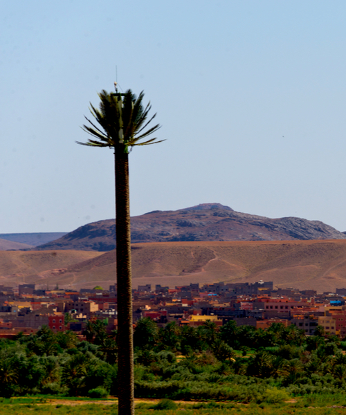 fake tree tower
