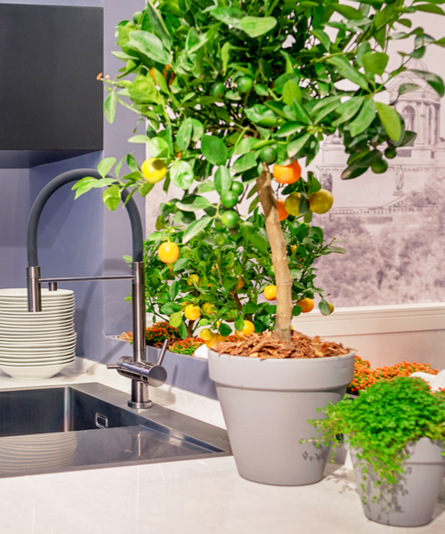 faux fruit trees