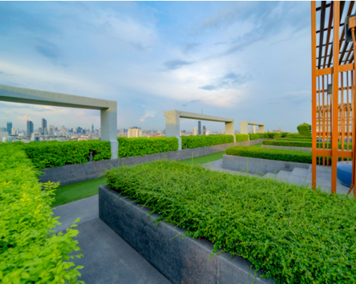 short faux hedges rooftop