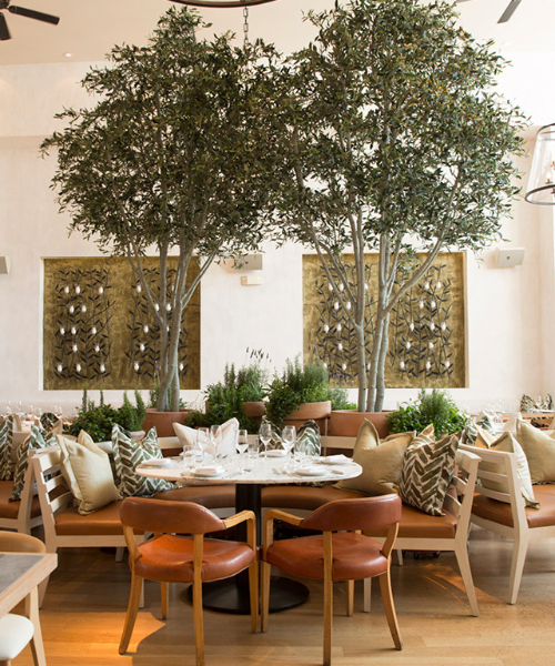 faux olive trees in restaurant