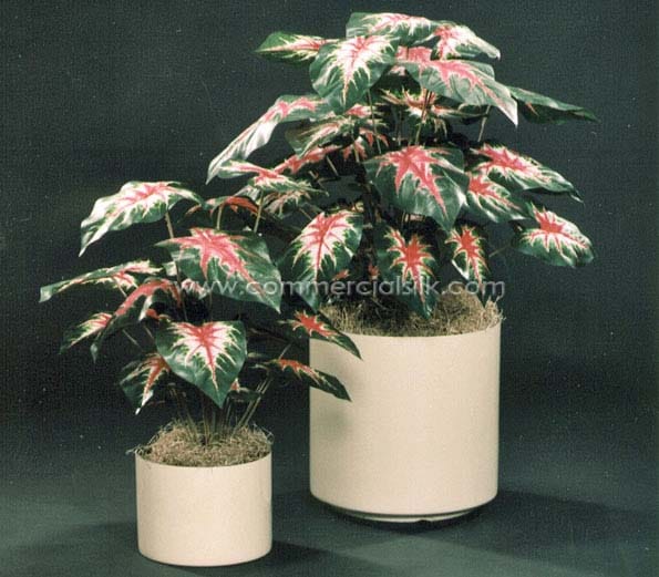 faux Caladium Plant