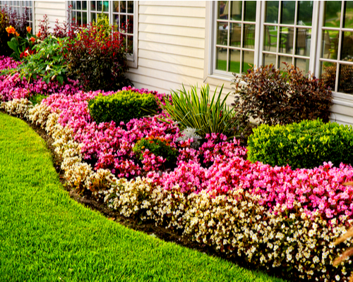 flowerbed