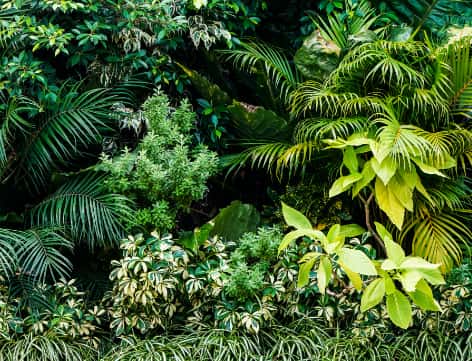 Buy Fake Plants Online: 18 Stores With the Best Faux Greenery