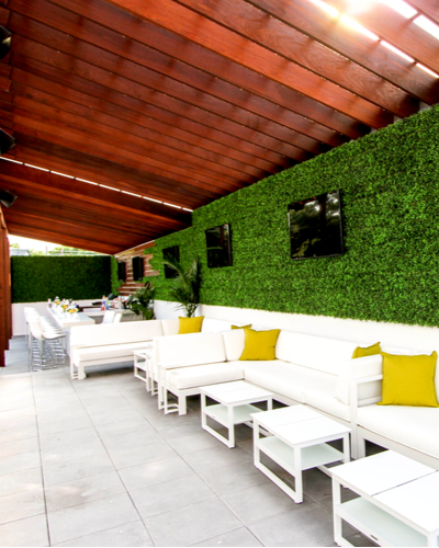 boxwood green wall