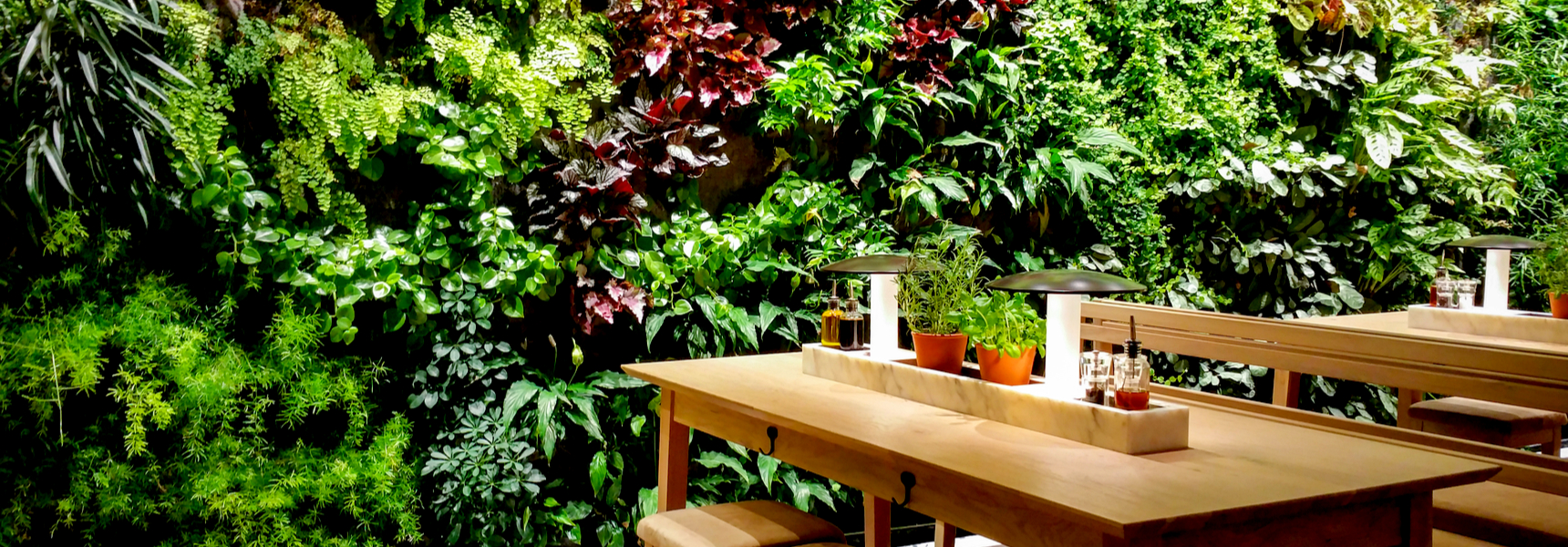 green walls restaurant