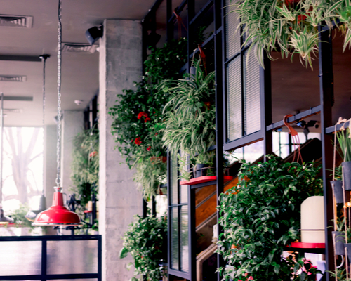 hanging greenery partition