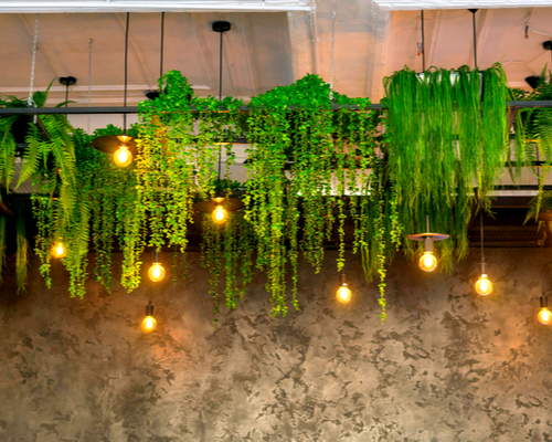 hanging greenery decor