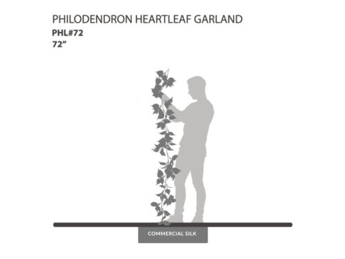 Philodendron Heartleaf Garland, Green ID# PHL#72
