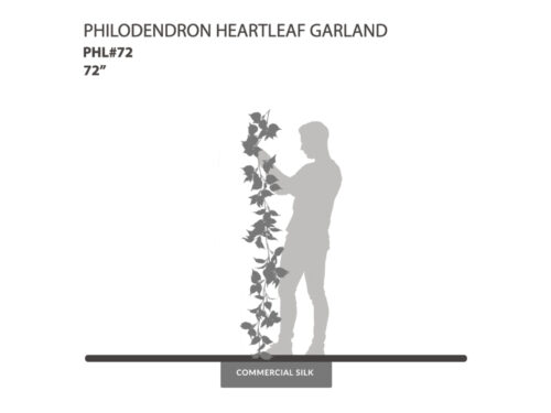 Philodendron Heartleaf Garland, Green ID# PHL#72