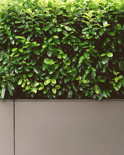 faux green wall
