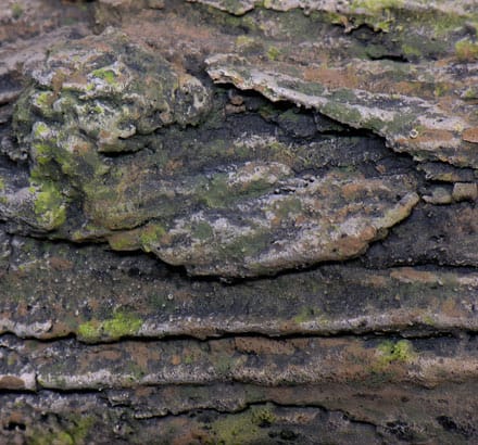 Artificial Logs