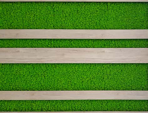 Artificial Moss Wall Frame Square（with UV/FR retardant） - Feelreal -  Premier Supplier of Lifelike Artificial Plants for B2B Export