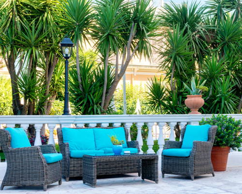 palm tree border