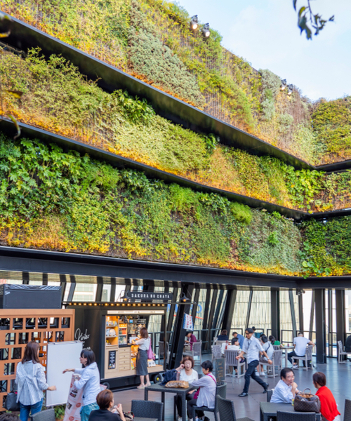 plant wall