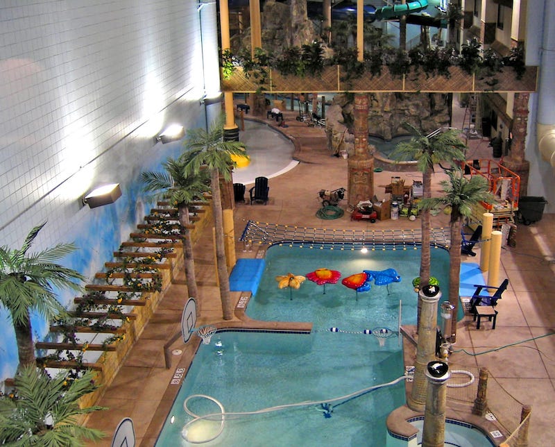 pool area outdoor artificial palm trees