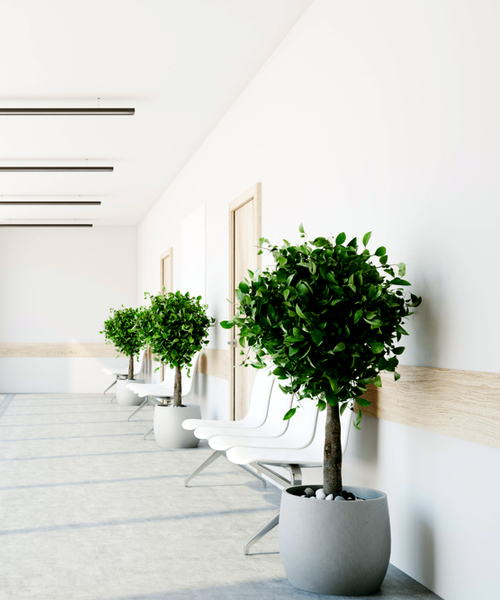 potted faux indoor trees