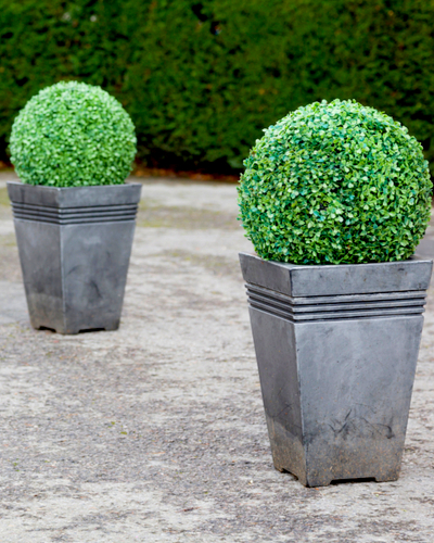 potted topiary