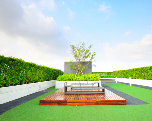 rooftop hedges