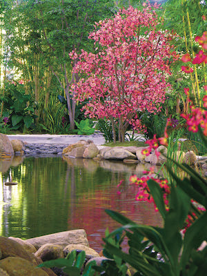 silk flowering trees