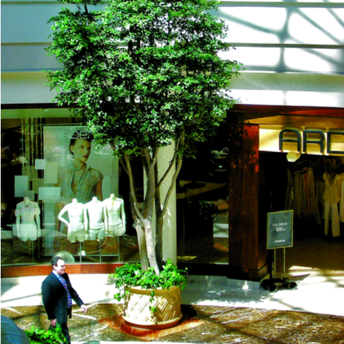 faux olive trees