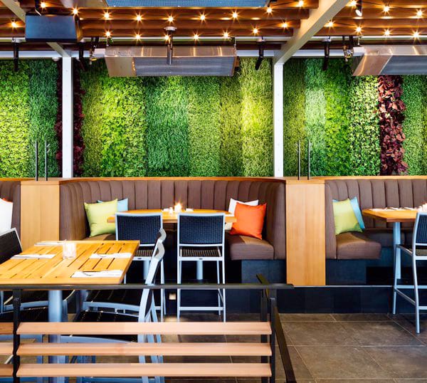 vertical garden