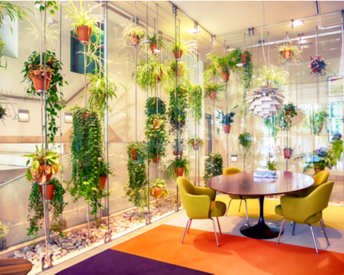 visual greenery
