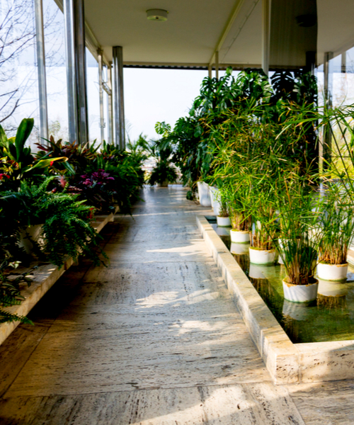 what is biophilic design